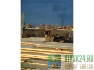 ������������ �����