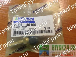   21EN-40100 Hyundai 