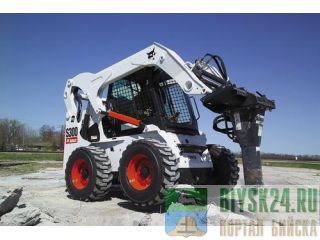  Bobcat  