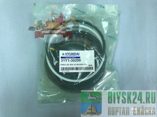  /  31Y1-30290  R300LC-9S 