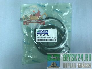  /  31Y1-29100  R220LC-9S 