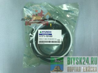  /  31Y1-10160  R250LC-7 
