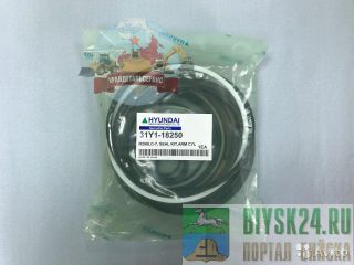  /  31Y1-18250  R250LC-7 