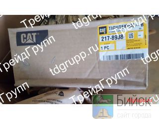 217-8938   CAT C18 