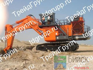 4456955   (rm cylinder) Hitachi EX1900-6 