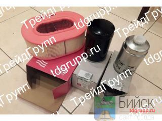 40065300   Hatz 3M41 