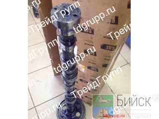 242-0674  CAT 