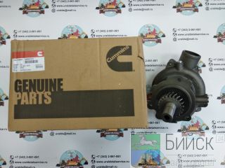   Cummins 3800737 (2882144, 4955705, 3803403, 3803260) 