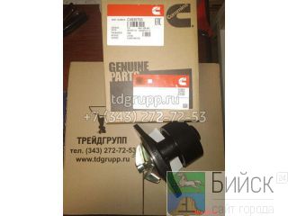 4935793   Cummins B5.9 
