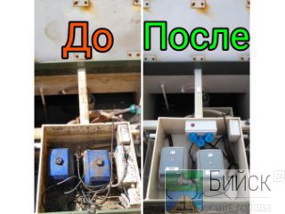 Ecoseptica -    