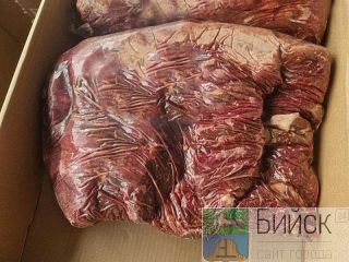 ���� ��������, �������, ����� ���, ������������ �����