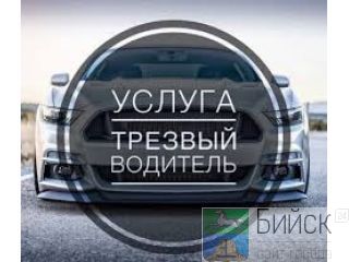 ������ "������� ��������", �����, ��������, ��������, 89635183343, 89130818594 �����