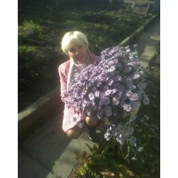 Клестер Елена Николаевна помощник руководителя, менеджер