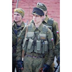 Владимир Водитель, курьер с личным авто