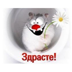 Марина Жду предложений...